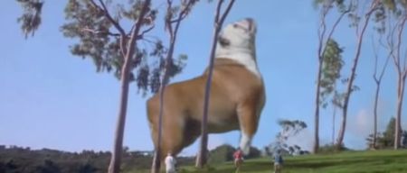 VIDEO: Jurassic Bark?! Guy Edits Classic Film To Include His Pet Dog