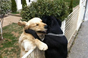 Heart Touching Pics: One ADORABLE Twitter Account That Is Definitely Worth A Follow