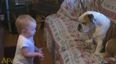VIDEO – This Baby Has A Really Valid Point To Make And She Wants Her Bulldog To Know All About It