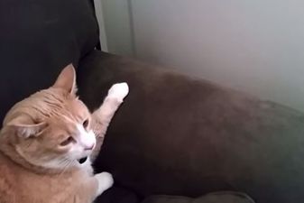 That’s Gas: The Funniest Video We’ve Seen This Week