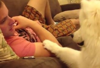 VIDEO: This Has To Be The Cutest Dog EVER