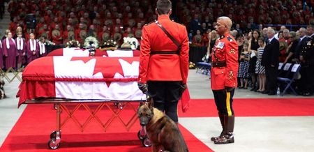 VIDEO: An Unbreakable Bond – Police Dog Grieves At His Owner’s Funeral
