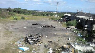 Animal Charity Launches Investigation After Galway Teens Set Baby Foal Alight In ‘Barbaric’ Killing