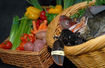 Family Day Out! The Flavours of Fingal County Show Will Be Back at the End of June