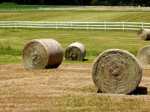 PICTURE: Could This Be The Most Irish Way To Advertise A Truck Show?