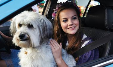 REVIEW – Pudsey The Movie, Films Like This Just Shouldn’t Exist