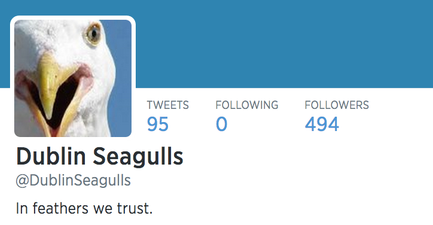 Dublin Seagulls: One Hilarious Twitter Account That Is Definitely Worth A Follow