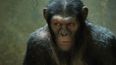 Caesar, Abu And Dunston – Seven Of Our Favourite Movie Monkeys