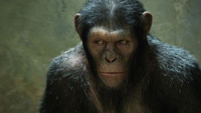 Caesar, Abu And Dunston – Seven Of Our Favourite Movie Monkeys