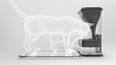 Cats Are About To Miss Out On Second Helpings – New Pet Feeder To Release Food On Facial Recognition