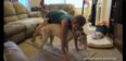 Happy Tuesday! This Compilation Of Animals Interrupting Their Owner’s Yoga Sessions Should Make Your Day
