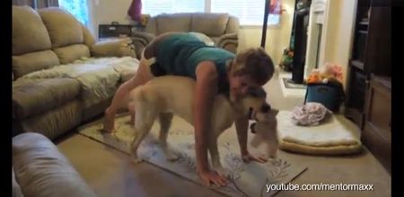 Happy Tuesday! This Compilation Of Animals Interrupting Their Owner’s Yoga Sessions Should Make Your Day