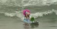 Nothing To See Here, Just A Dog Surfing Competition