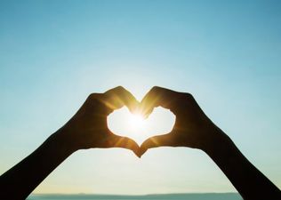 Roommates Are Looking For “Autumn Boyfriends” – Must Like Apple Picking…