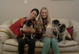 Happy Ending For Kerry Pet Farm As Stolen Puppies Recovered