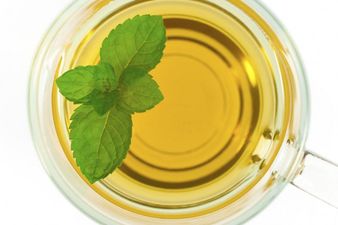 10 Things… That Are Crucial For The Perfect Detox