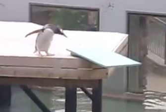 That’s Gas: The Funniest Video We’ve Seen This Week