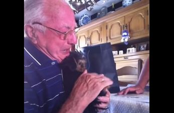 VIDEO: Family Buy Grieving Grandfather A Puppy And His Reaction Is Just Lovely…