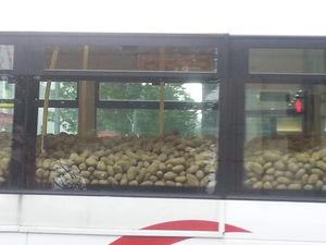 PICTURE: There is a Bus Full of Potatoes Driving Around Limerick Right Now…