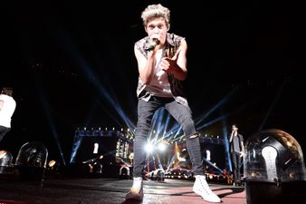 One Direction Latest! Niall Horan Makes Big Announcement on Twitter