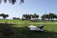 Four Irish People Injured In Light Plane Crash In Florida