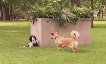 That’s Gas: The Funniest Video We’ve Seen This Week