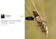 This Woman Illustrates Your Twitter Typos…. And The Results Are AMAZING