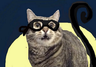 PICTURES: The Snapcats Of Snapchat Are Everything You Want Them To Be And More…