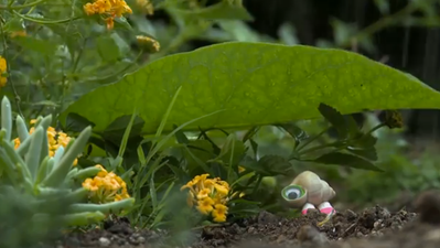 VIDEO: Marcel The Shell With The Shoes On is Back!