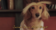 Miss Dawson’s Creek? Maybe Dachshund’s Creek Will Ease The Pain