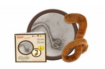 “Everyone’s After One” – Ebola Toy Sold Out