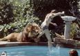 Living With A Lion: Melanie Griffith’s Pet Wasn’t The Typical Family Dog