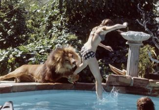Living With A Lion: Melanie Griffith’s Pet Wasn’t The Typical Family Dog