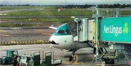 Aer Lingus Gear up For Movember With ‘Des’ – the Moustache-Wearing Plane