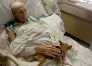 Man’s Best Friend: Sick Man Makes Recovery After Being Reunited With Dog