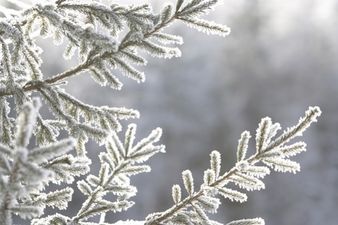 Plummeting Temperatures to Bring Snow This Weekend