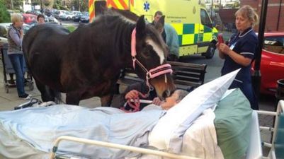 Dying Woman Reunited With Beloved Horse On Her Deathbed