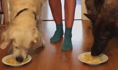 That’s Gas: The Funniest Video We’ve Seen This Week