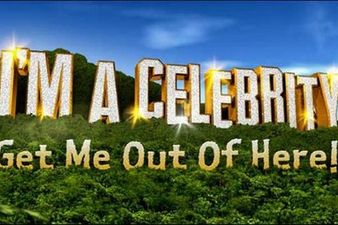 ‘She Attacked Me’ – I’m A Celeb Star Accused Of ‘Vicious’ Domestic Violence By Ex-Husband