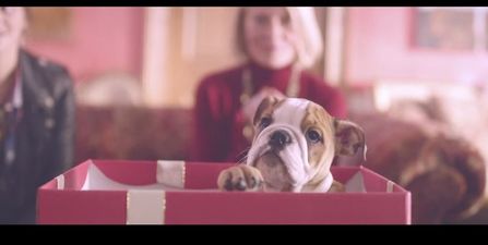 WATCH: The Mulberry Christmas Ad – How Far One Family Goes to Win Christmas