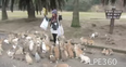 WATCH: It’s So Fluffy! Woman Attacked By Swarm Of Bunnies (Yes, We’re Jealous)