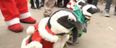 VIDEO: Penguins Kitted Out In Christmas Gear… Need We Say Anymore?