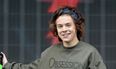 One Directioners in Frenzy As Harry Styles Hints At Nude Pictures