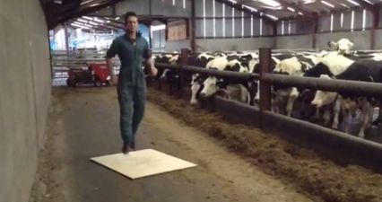 VIDEO: Proud To Be Irish – Epic Irish Dance Montage From All Corners of The Globe