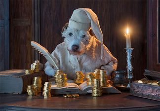 Photographer Turns His Dog into a Different Animal Every Christmas