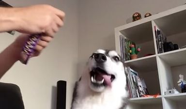 That’s Gas: The Funniest Video We’ve Seen This Week