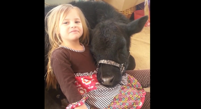 VIDEO: Little Girl Lets a Very Special and Unusual Visitor Into Her House
