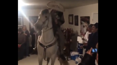 Well Horse: This Video Is Probably One Of The Most Bizarre The Internet Has Ever Seen