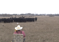 My Trombone Playing Brings All The Cows To The Yard, Watch Farmer’s Bizarre Christmas Surprise