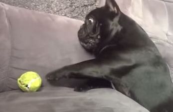 That’s Gas: The Funniest Video We’ve Seen This Week